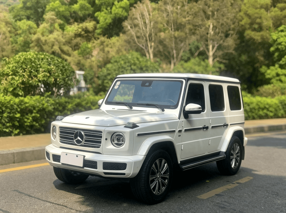 Mercedes-Benz G-Class 2019 — фото автомобиля