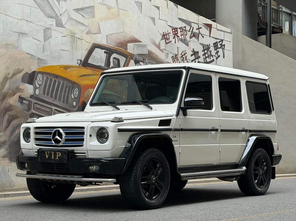 Mercedes-Benz G-Class 2010 — фото автомобиля