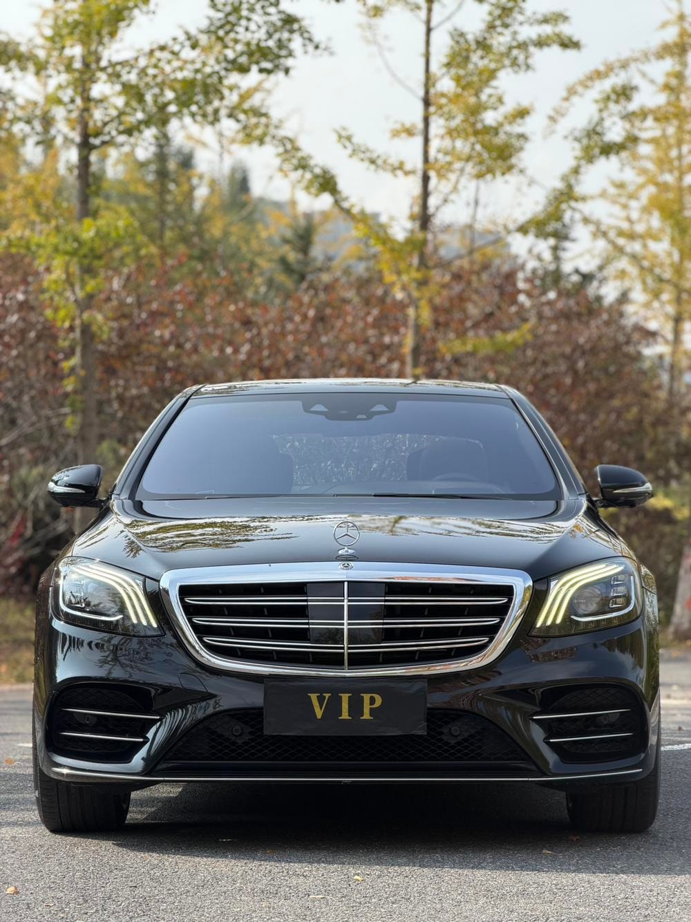Mercedes-Benz S-Class 2019 — фото автомобиля 1