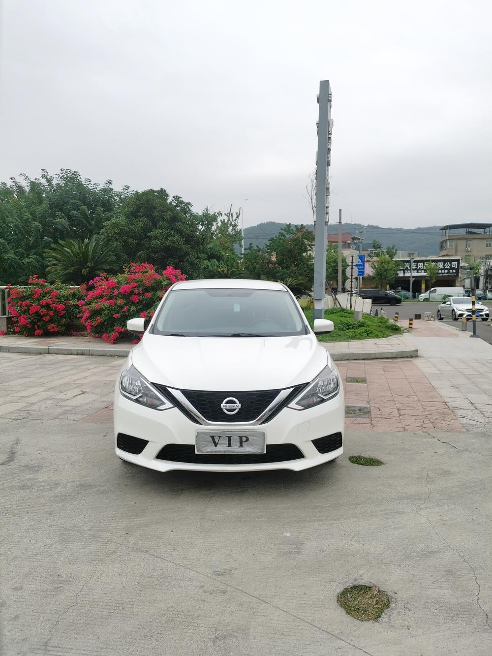 Nissan Sylphy 2021 — фото автомобиля
