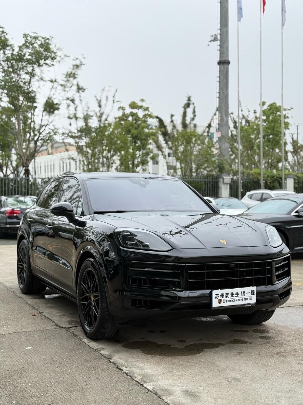 Миниатюра 3