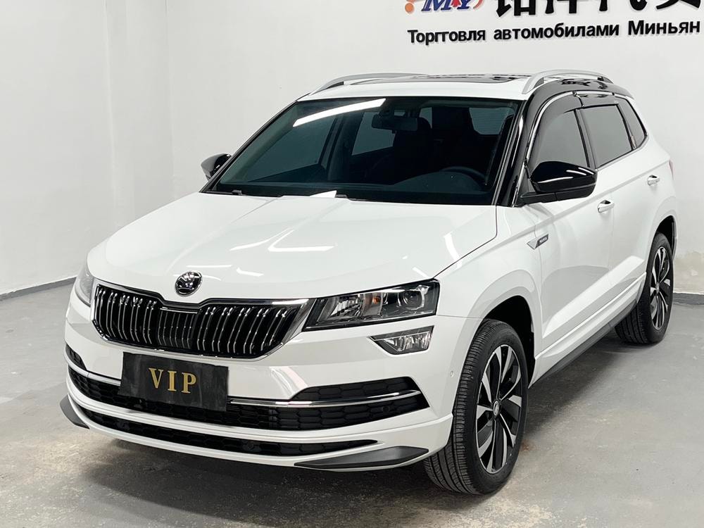 Skoda Karoq 2024 — фото автомобиля