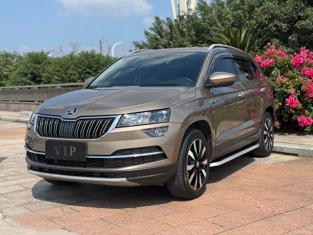 Skoda Karoq 2019 — фото автомобиля