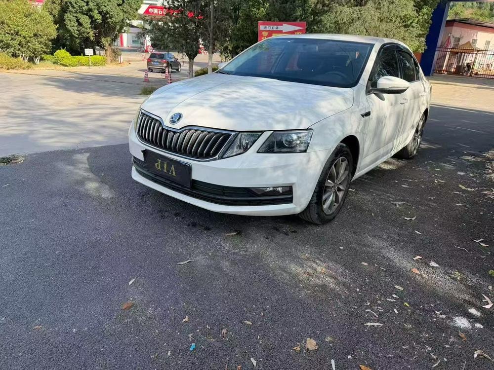 Skoda Octavia 2019 — фото автомобиля 1