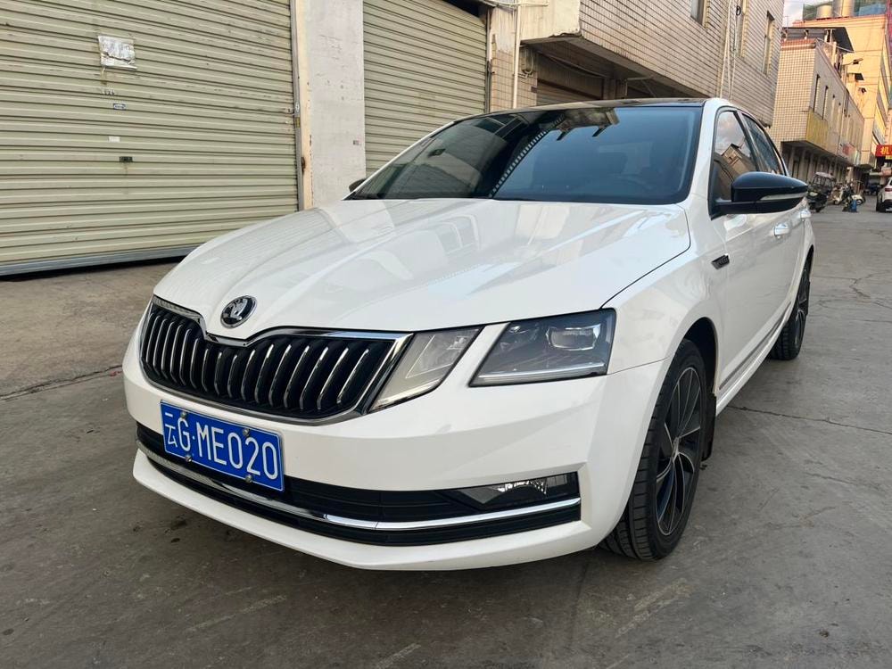 Skoda Octavia 2019 — фото автомобиля 1