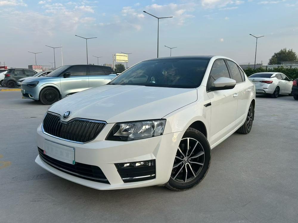 Skoda Octavia 2017 — фото автомобиля 1