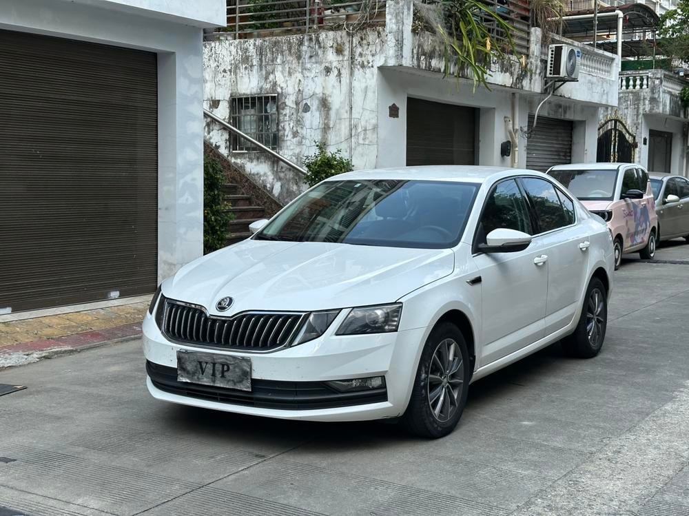 Skoda Octavia 2019 — фото автомобиля