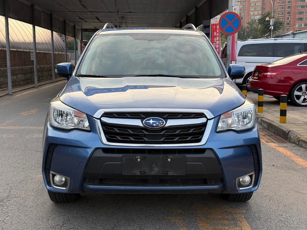 Subaru Forester 2016 — фото автомобиля