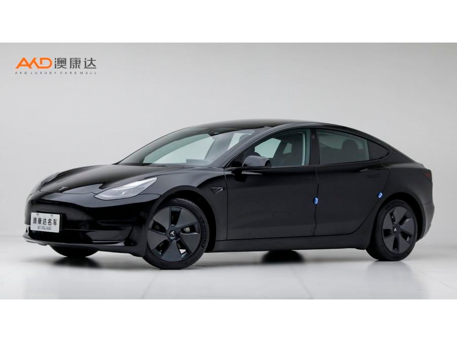 Tesla Model 3 2022 — фото автомобиля 1