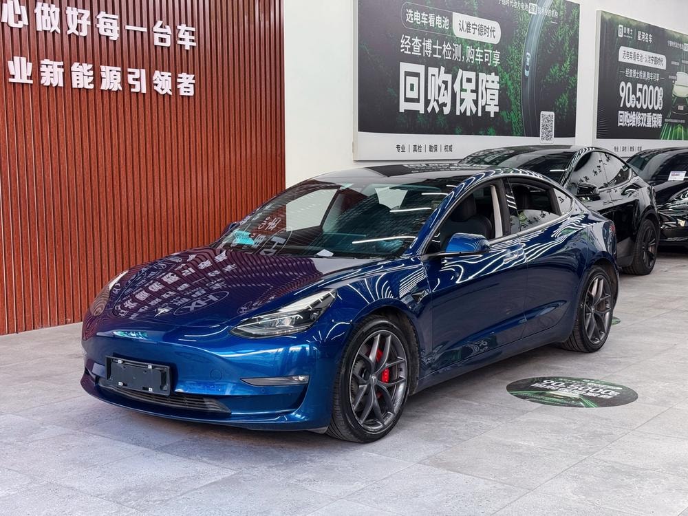 Tesla Model 3 2021 — фото автомобиля 1
