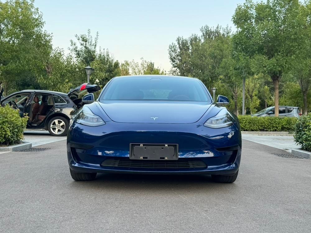 Tesla Model 3 2019 — фото автомобиля