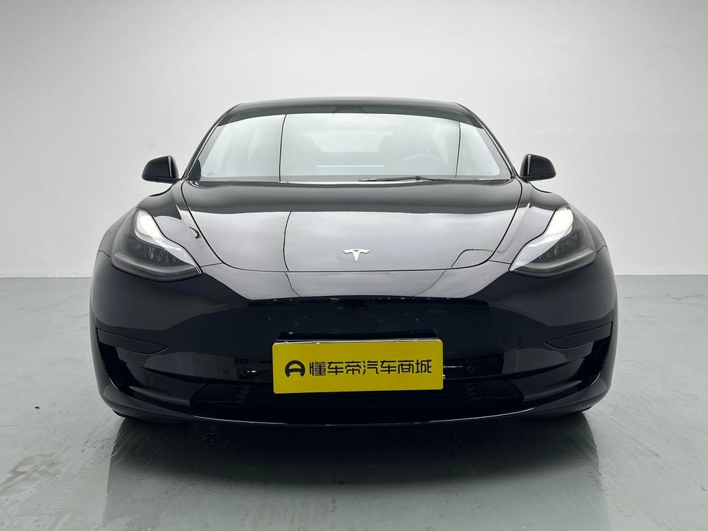 Tesla Model 3 2021 — фото автомобиля 1