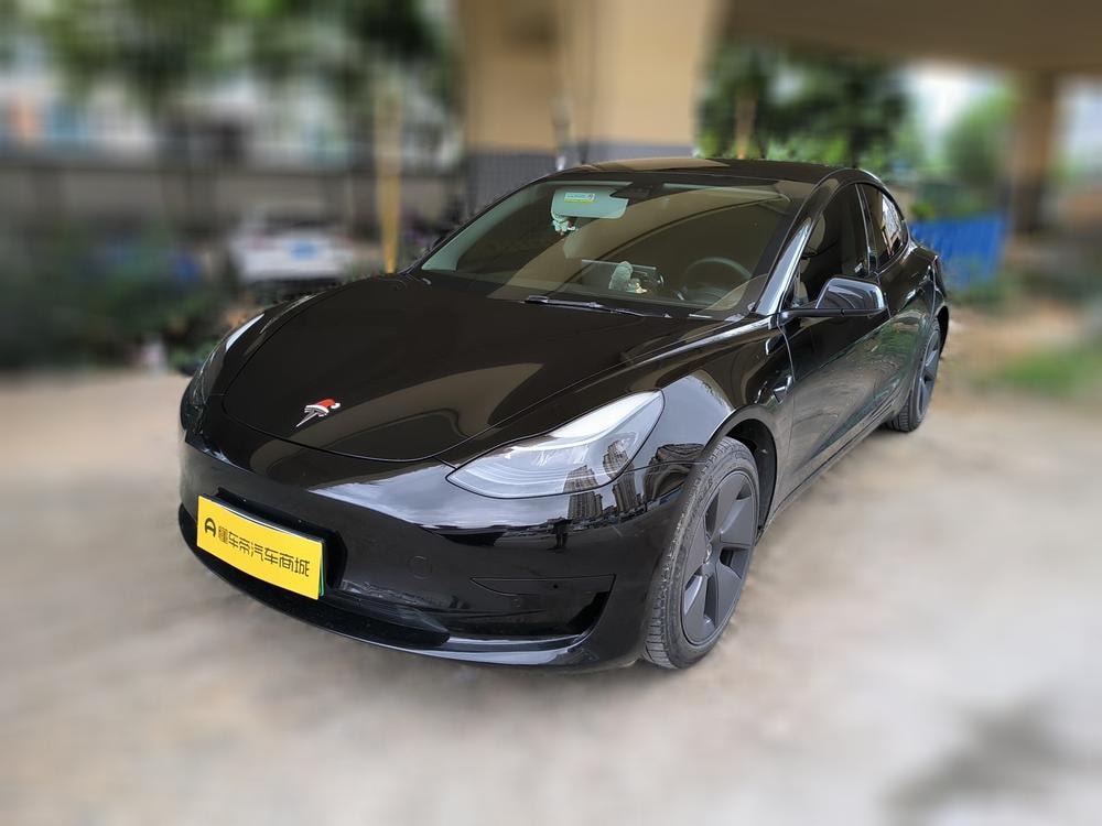 Tesla Model 3 2021 — фото автомобиля 1