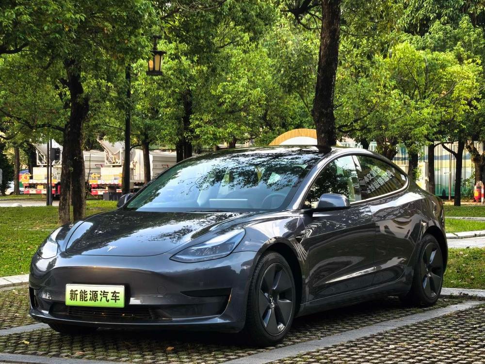 Tesla Model 3 2021 — фото автомобиля