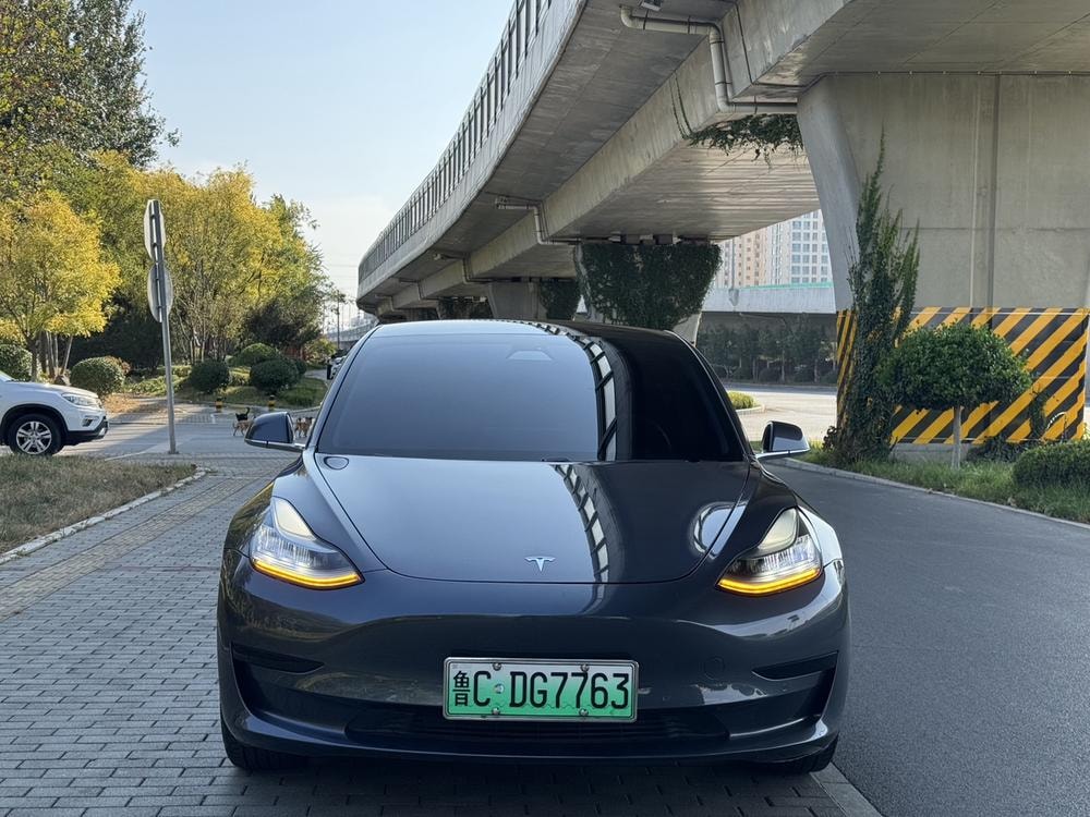 Tesla Model 3 2019 — фото автомобиля