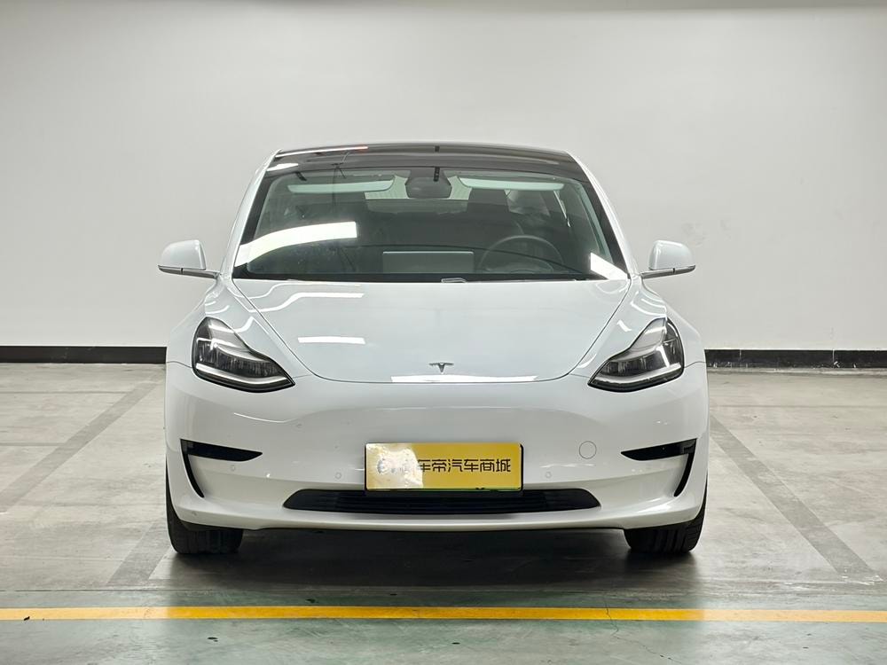 Tesla Model 3 2019 — фото автомобиля 1