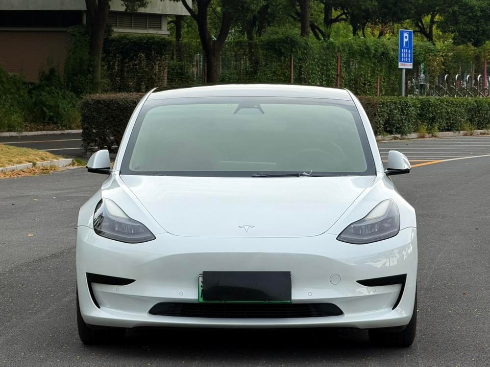 Tesla Model 3 2021 — фото автомобиля 1