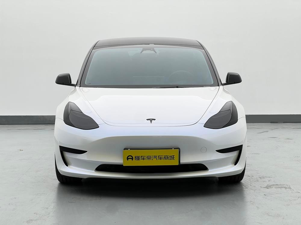Tesla Model 3 2022 — фото автомобиля 1