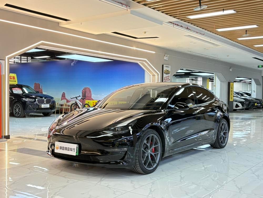 Tesla Model 3 2022 — фото автомобиля 1