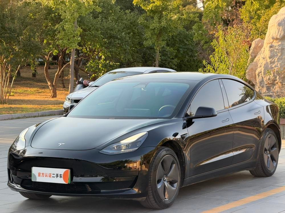 Tesla Model 3 2021 — фото автомобиля 1