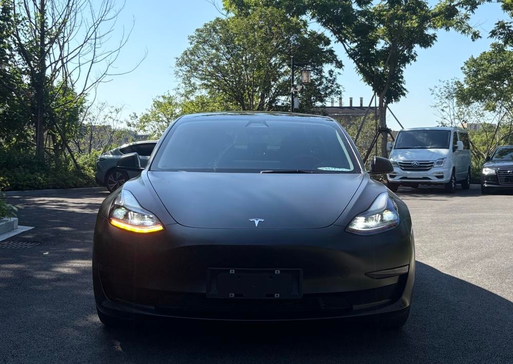 Tesla Model 3 2021 — фото автомобиля 1