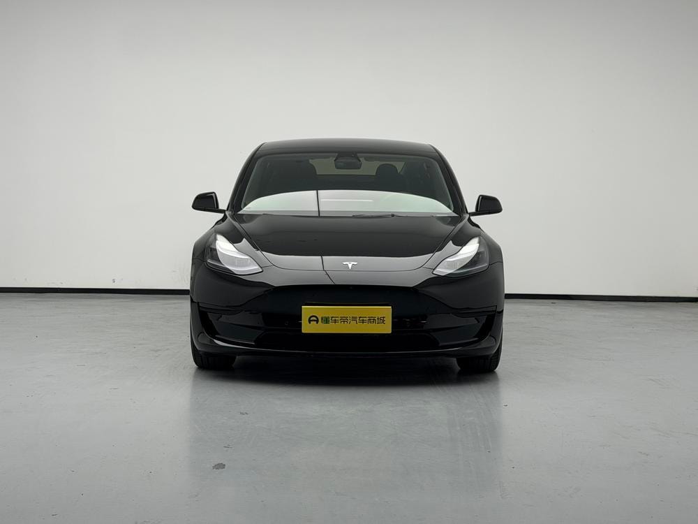 Tesla Model 3 2022 — фото автомобиля 1