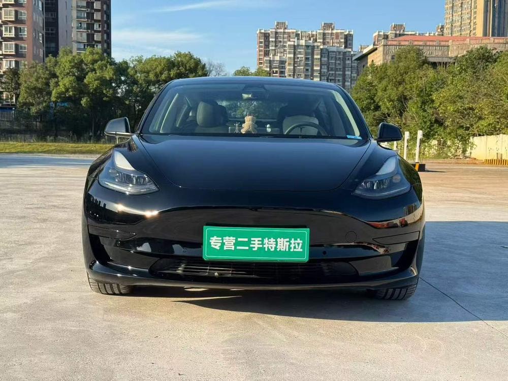Tesla Model 3 2022 — фото автомобиля 1