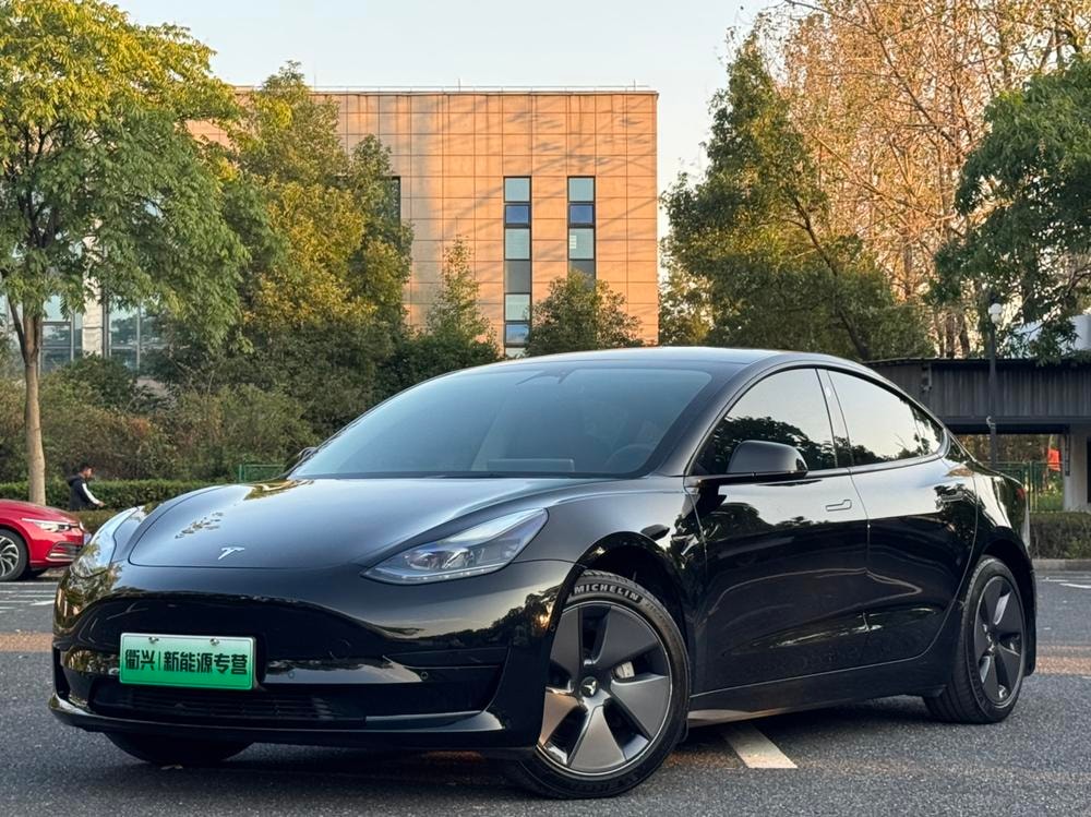 Tesla Model 3 2022 — фото автомобиля 1