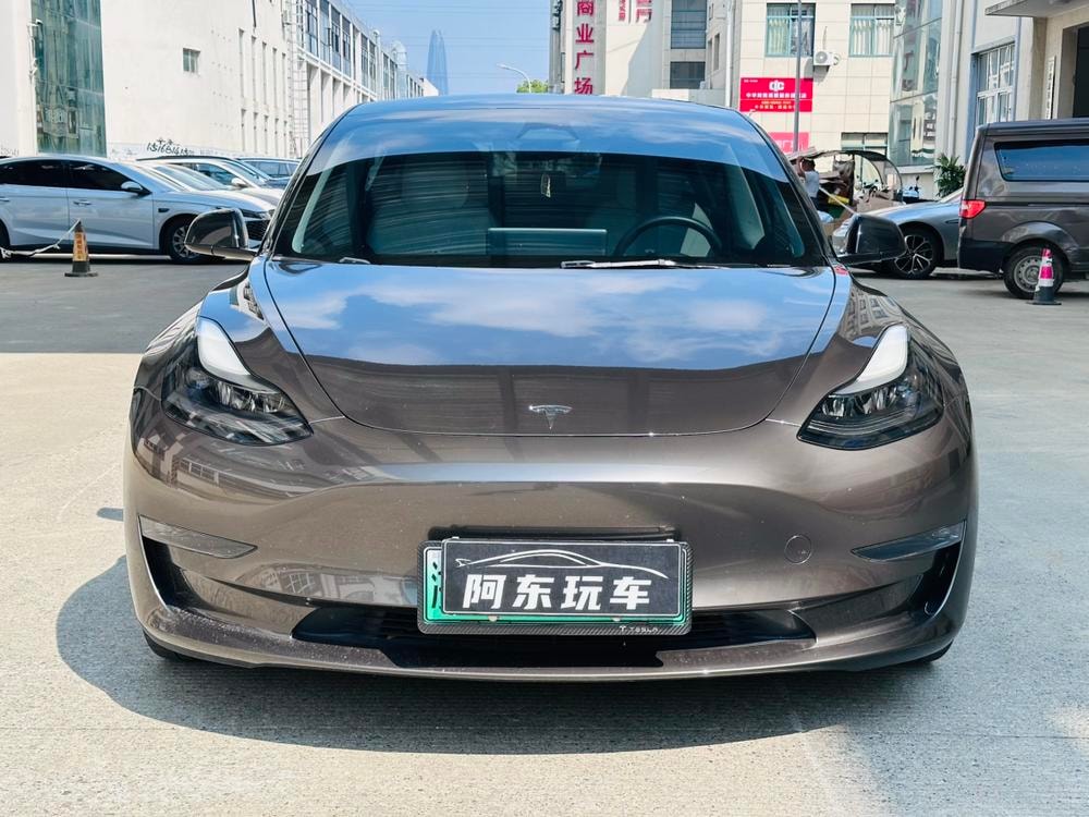 Tesla Model 3 2022 — фото автомобиля 1