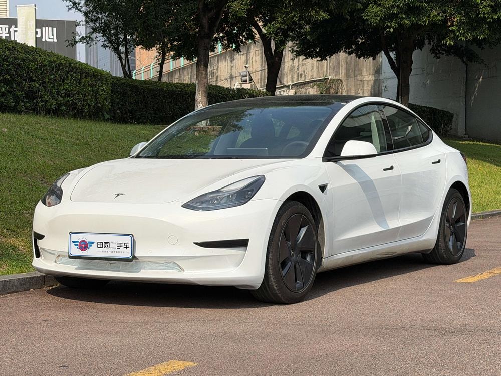 Tesla Model 3 2021 — фото автомобиля