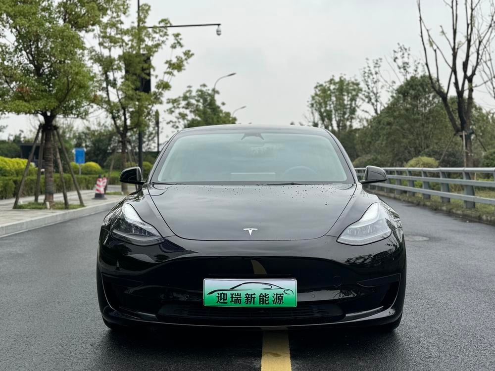 Tesla Model 3 2021 — фото автомобиля
