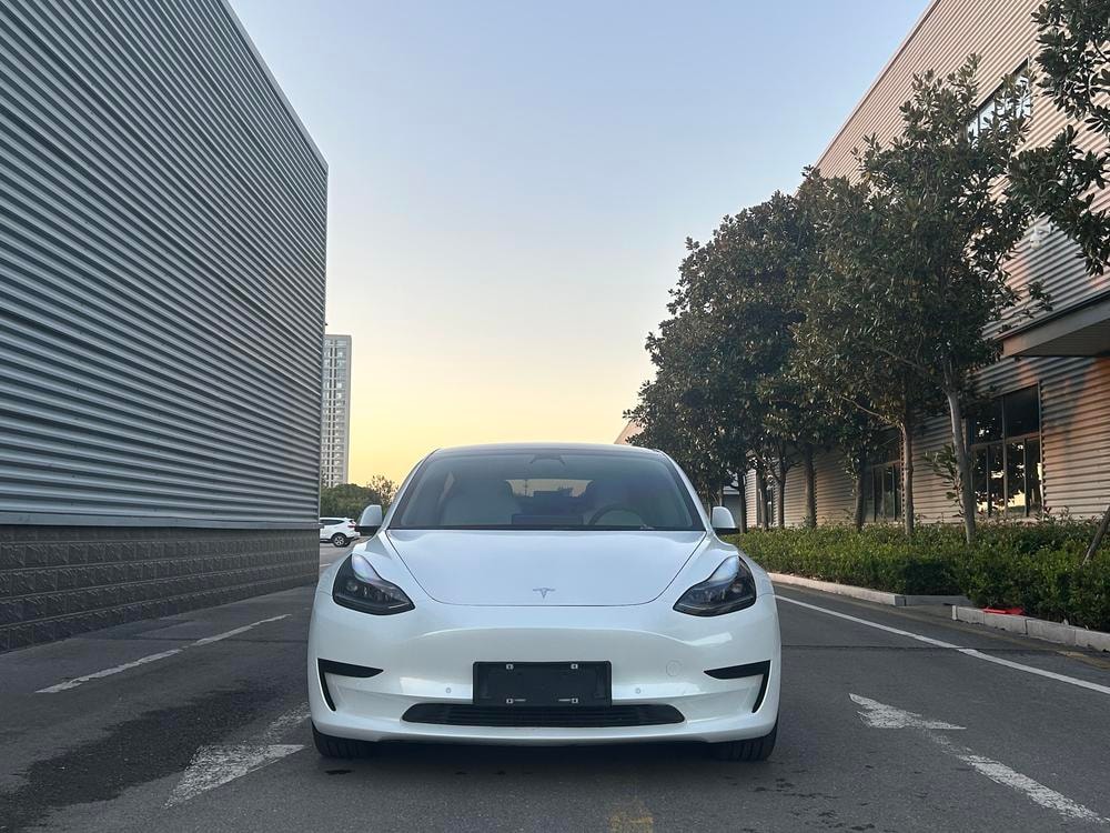 Tesla Model 3 2021 — фото автомобиля