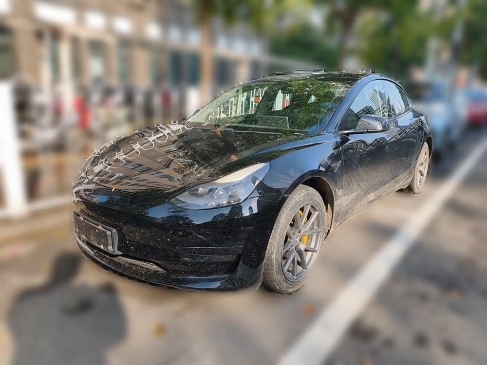 Tesla Model 3 2021 — фото автомобиля
