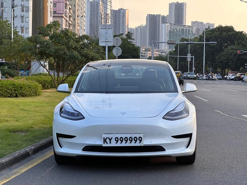 Tesla Model 3 (Import) 2019 — фото автомобиля 1