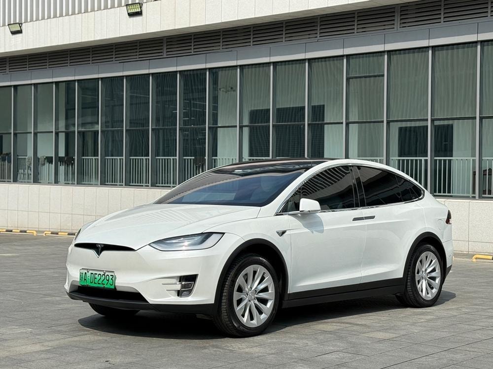 Tesla Model X 2019 — фото автомобиля 1
