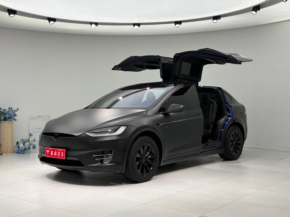 Tesla Model X 2019 — фото автомобиля 1