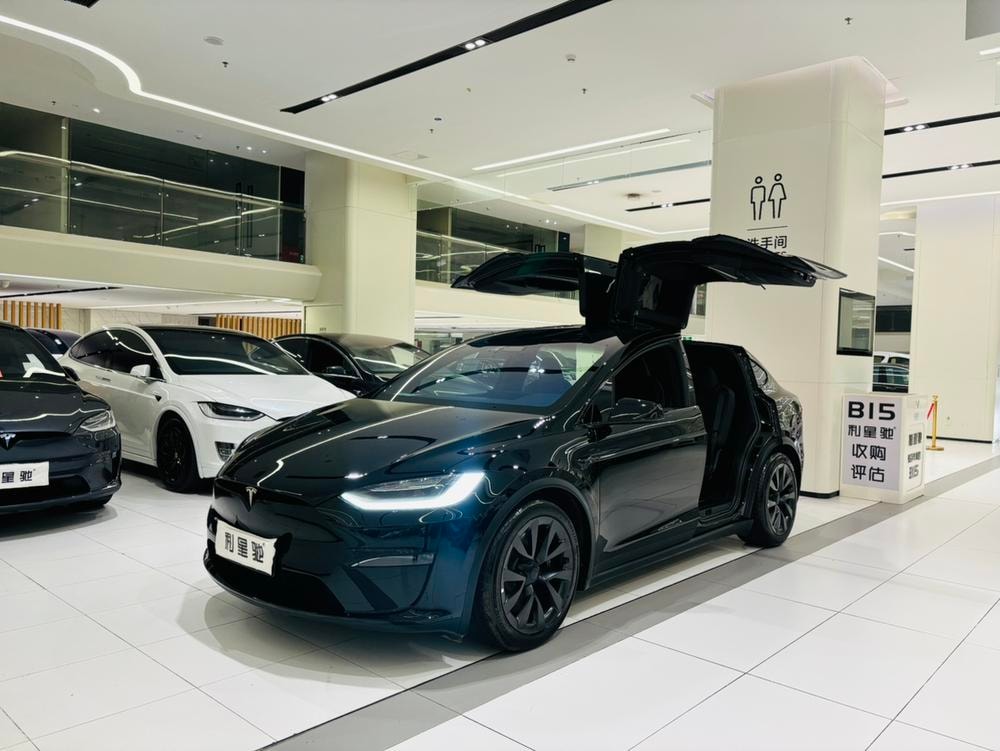 Tesla Model X 2023 — фото автомобиля