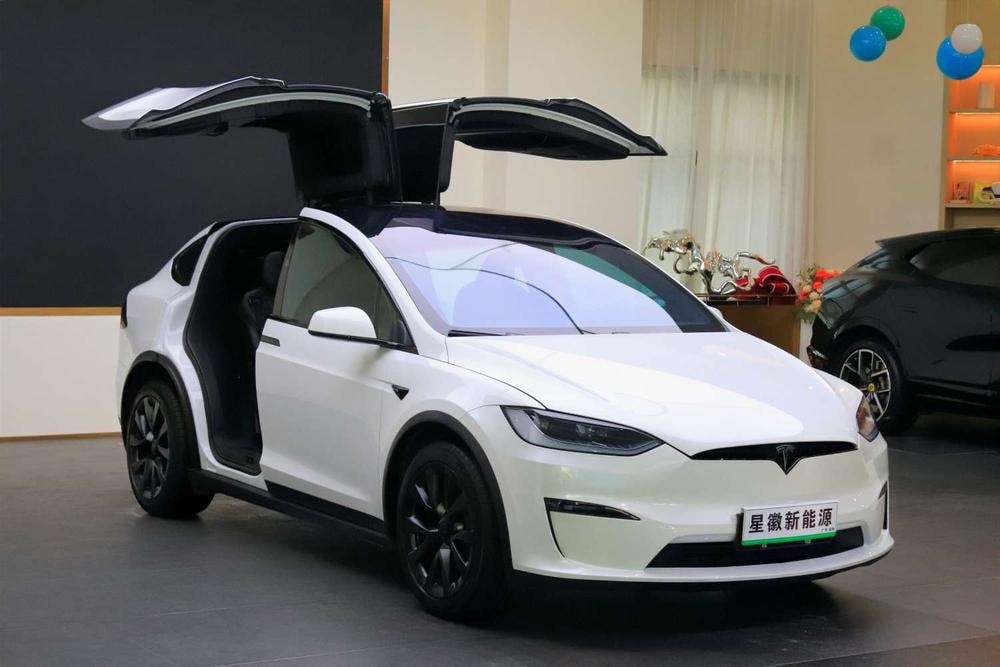 Tesla Model X 2023 — фото автомобиля