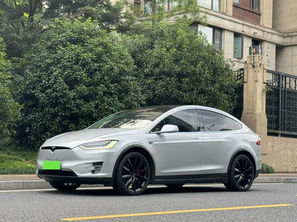 Tesla Model X 2016 — фото автомобиля 1