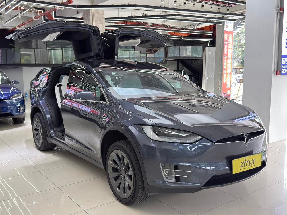 Tesla Model X 2019 — фото автомобиля