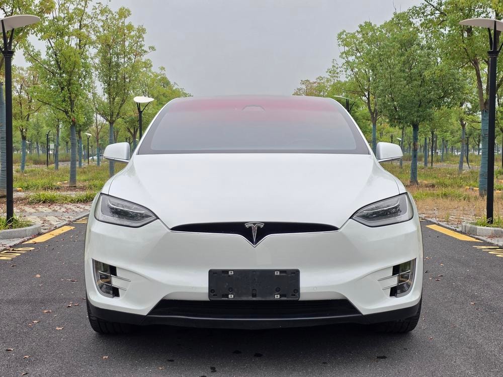 Tesla Model X 2016 — фото автомобиля 1