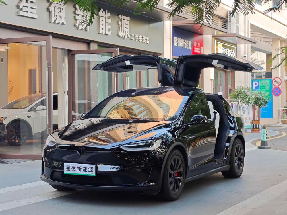 Tesla Model X 2023 — фото автомобиля 1