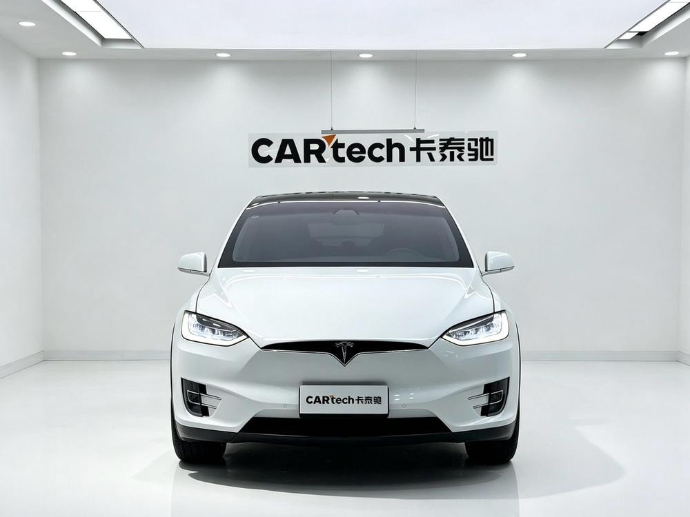 Tesla Model X 2019 — фото автомобиля
