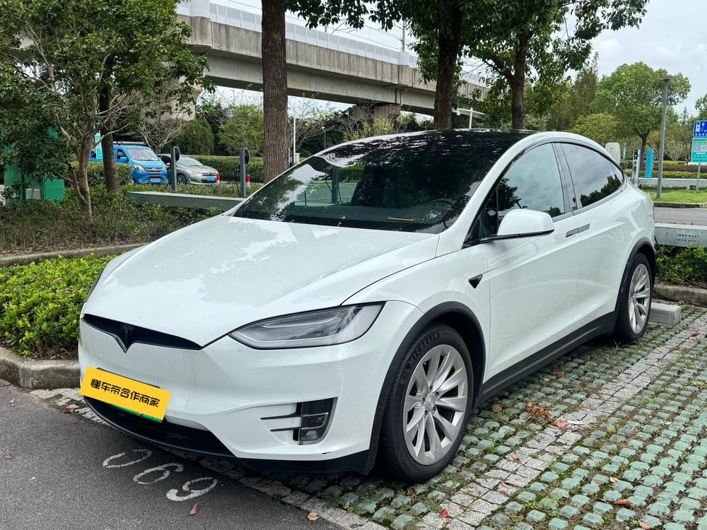 Tesla Model X 2019 — фото автомобиля
