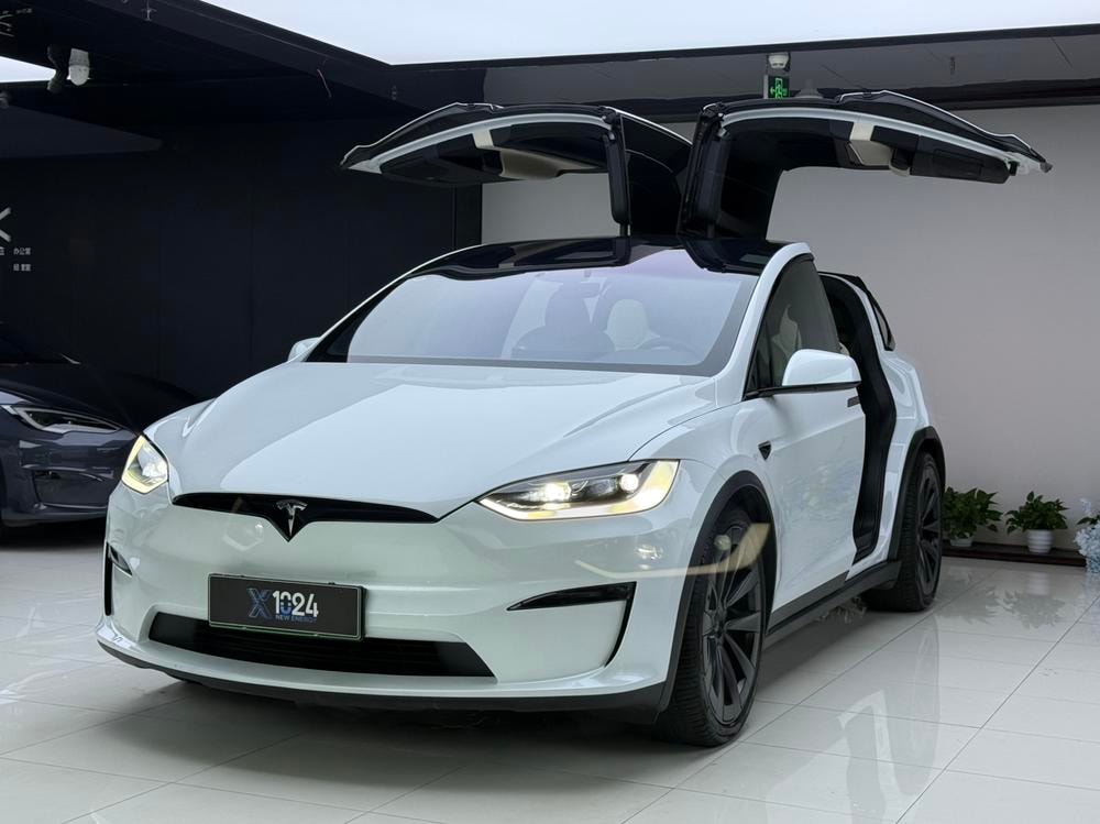 Tesla Model X 2023 — фото автомобиля 1