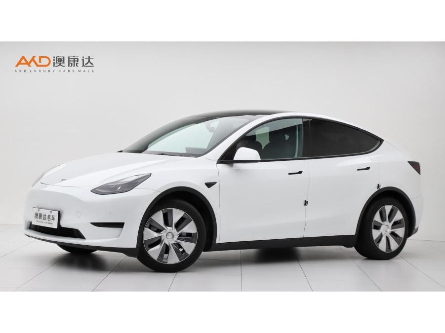 Tesla Model Y 2022 — фото автомобиля 1