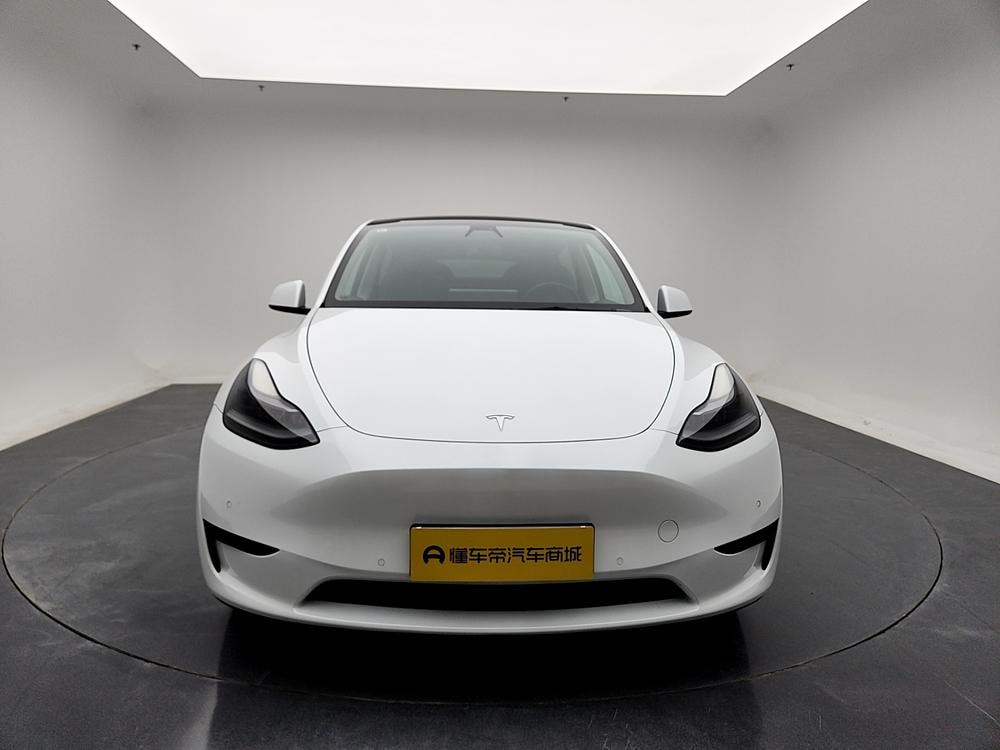 Tesla Model Y 2022 — фото автомобиля 1
