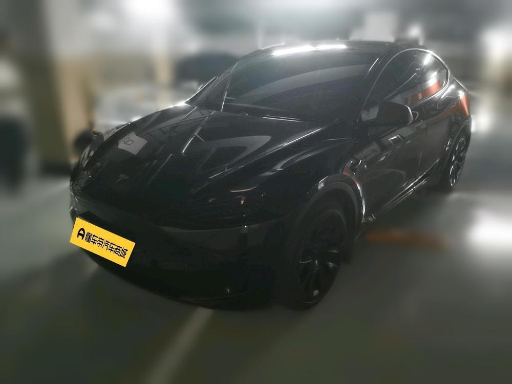 Tesla Model Y 2022 — фото автомобиля 1