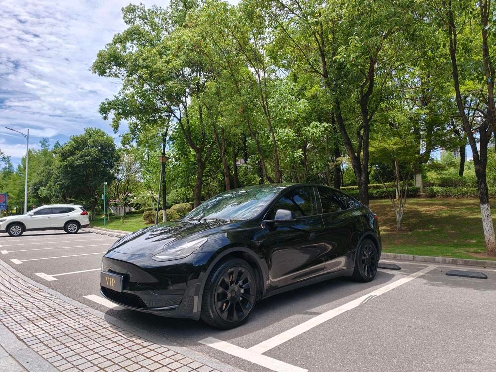 Tesla Model Y 2023 — фото автомобиля