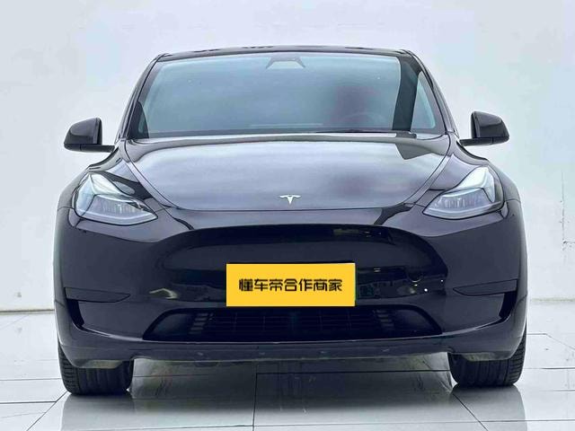 Tesla Model Y 2022 — фото автомобиля 1